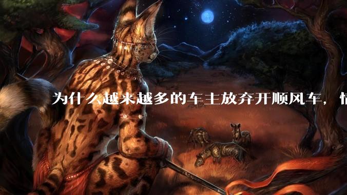 为什么越来越多的车主放弃开顺风车，情愿一个人独自开车？